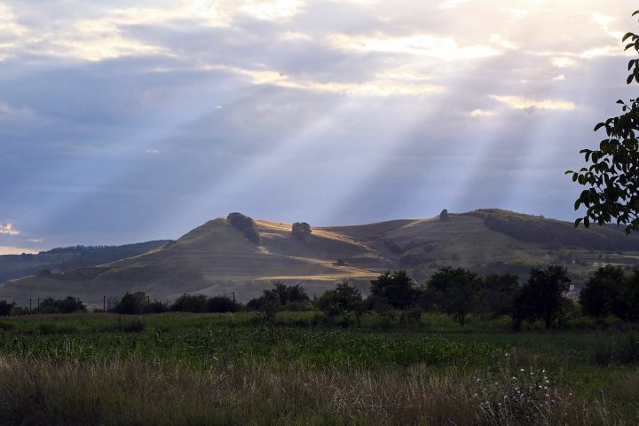 Hügel mit Weidelandschaft im Abendlicht (bei Mediasch).