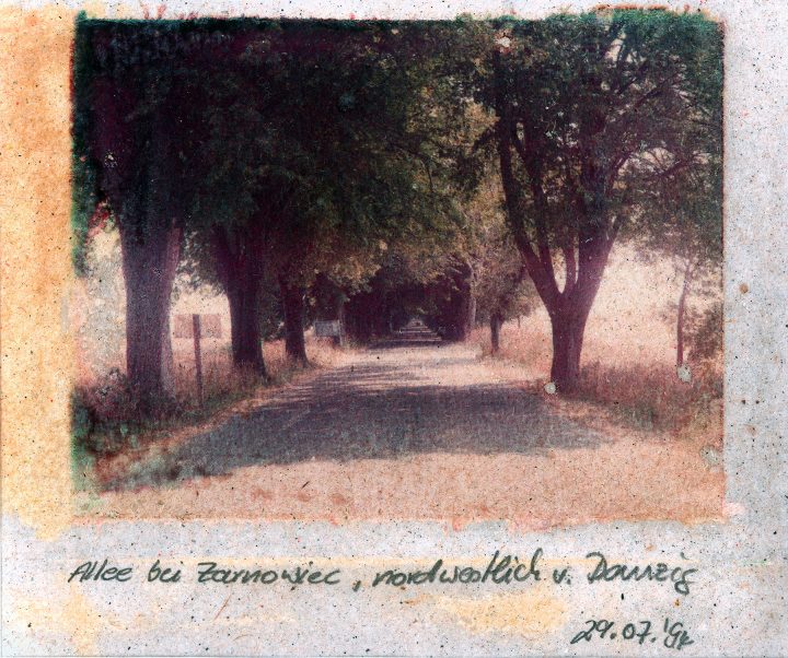 Allee bei Zarnowiec, Polen, 1994, Polaroidtransfer
