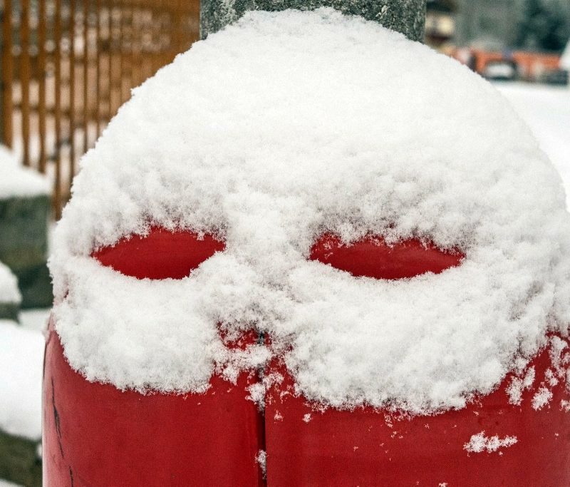Schneegesicht