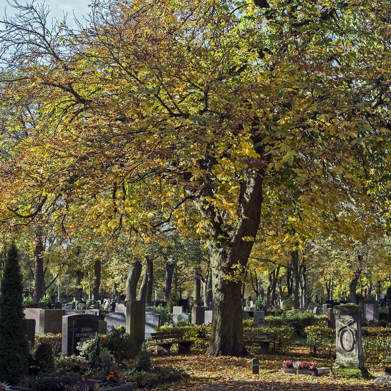 Städtischer Friedhof, Fürth, Herbst
