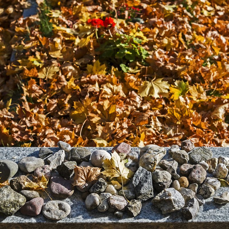 Neuer Israelitischer Friedhof, Fürth, Herbst