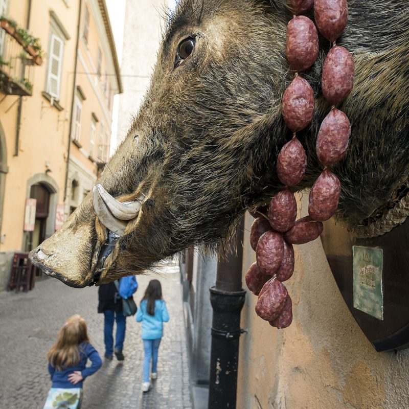 Wildschweine sind in Orvieto allgegenwärtig