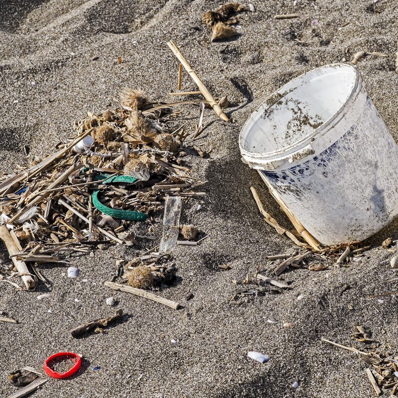 Strandschlecht