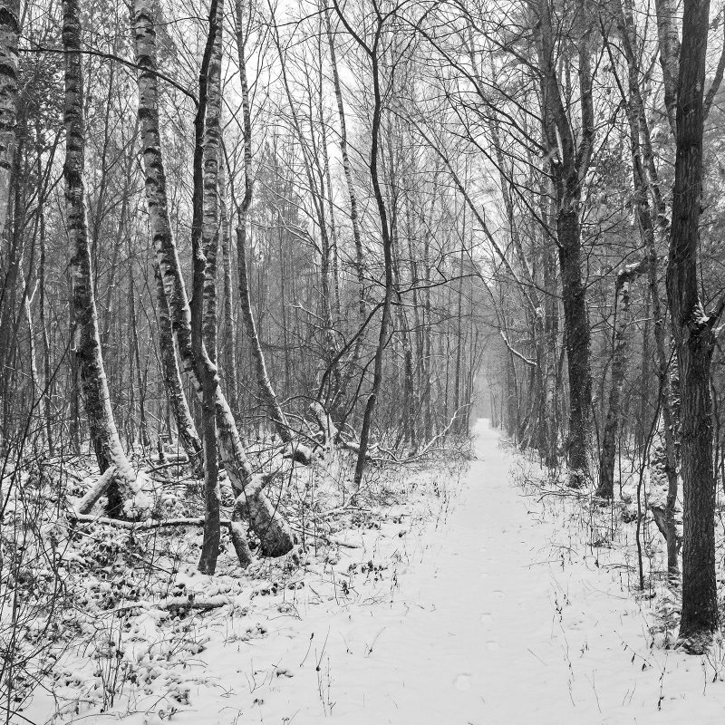 Winter, 10.12.2017, Kornburg