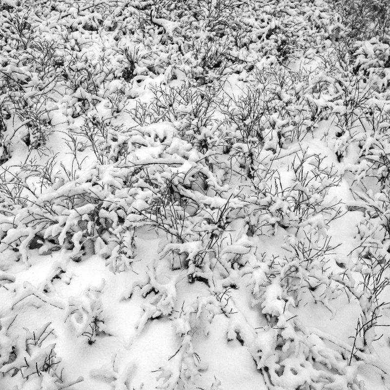 Winter, 10.12.2017, Kornburg
