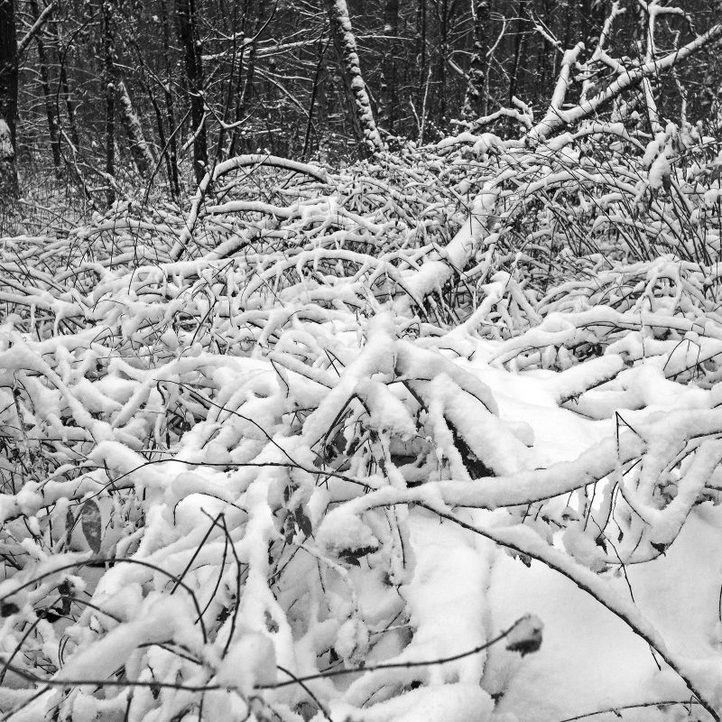 Winter, 10.12.2017, Kornburg