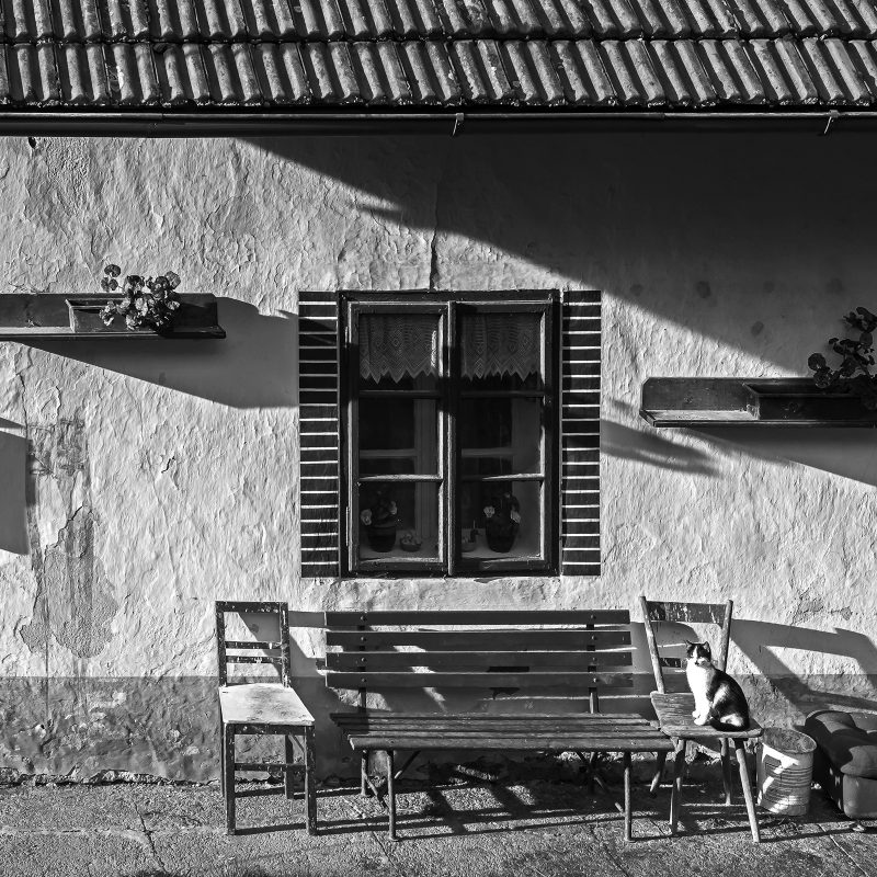 Haus, Bank, Katze