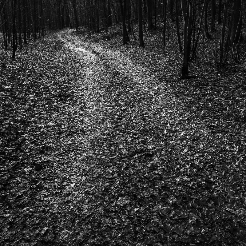 Waldweg