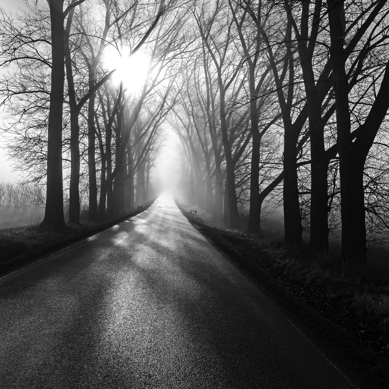 Road to nowhere