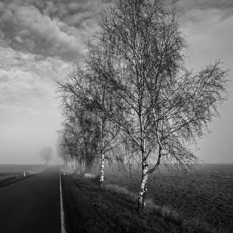 Road to somewhere
