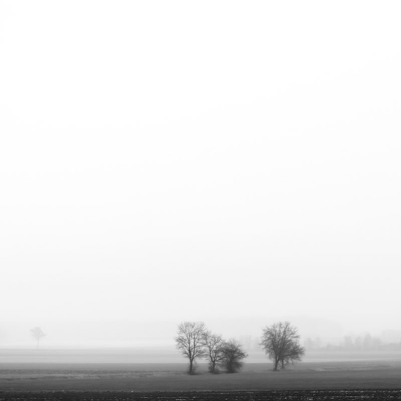 Nebel