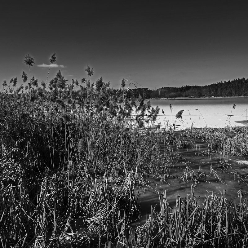 Teich in Westböhmen