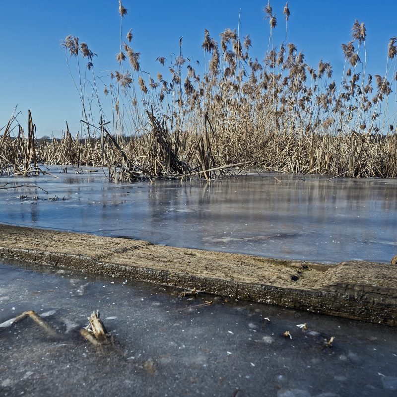 Teich in Westböhmen