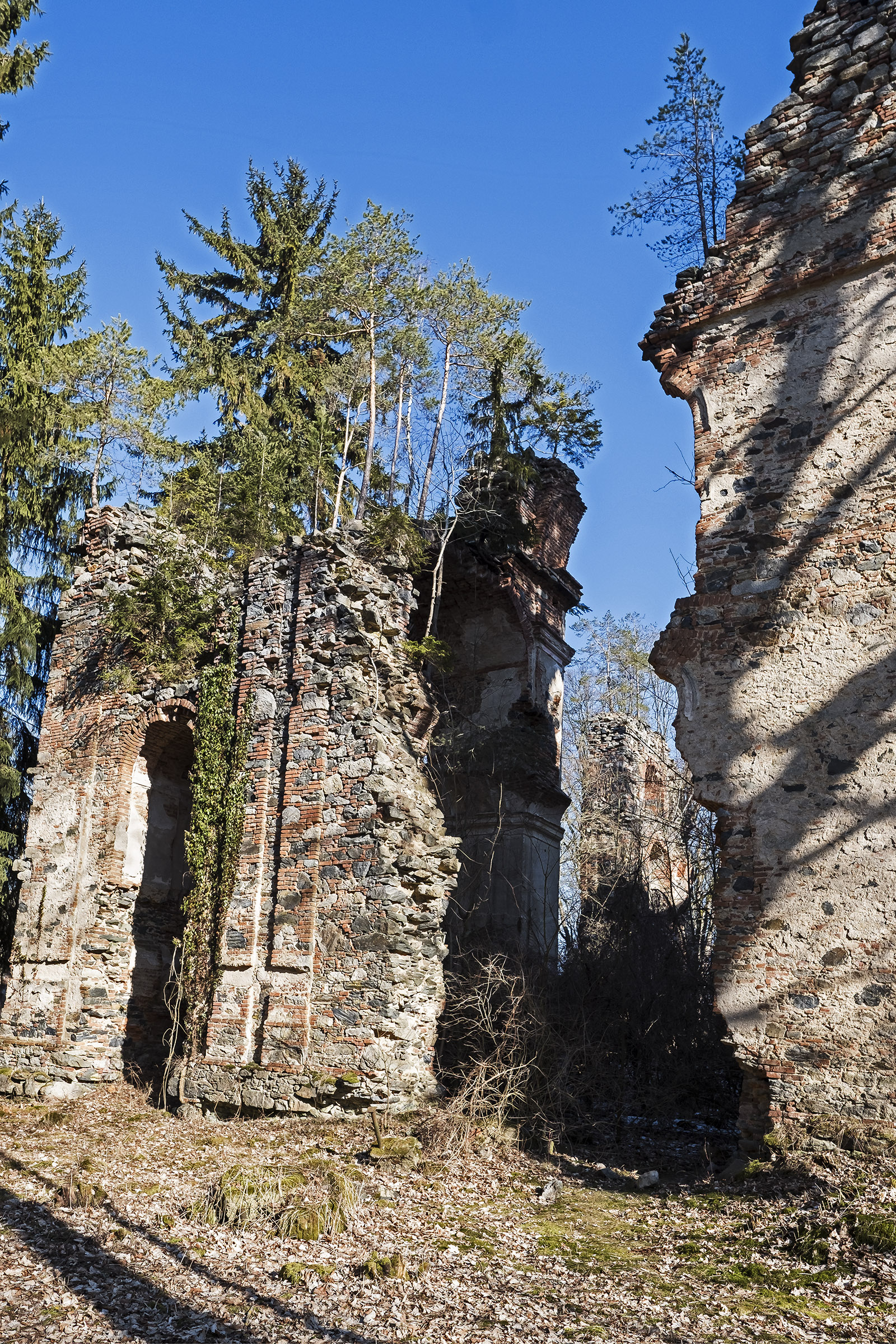 Schlossruine Světce / Heiligen (Tachov)