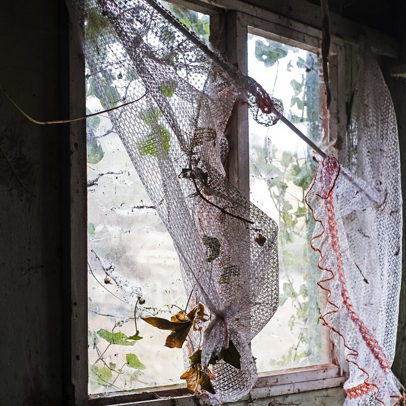 Fenster