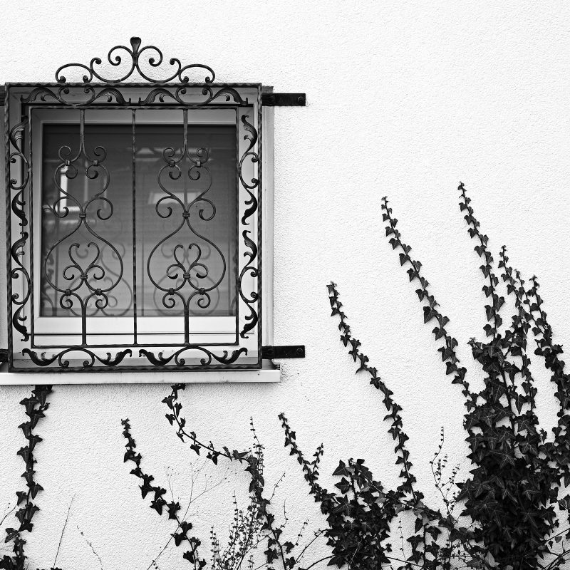 Fenster zum Hof