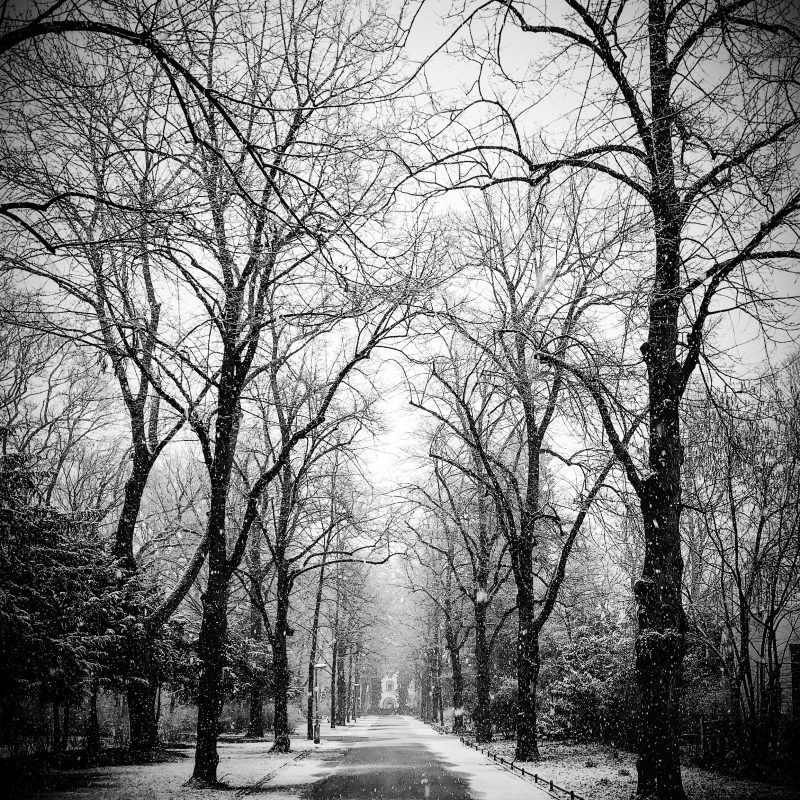 Stadtpark