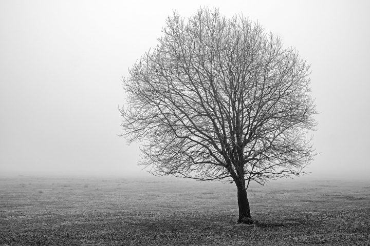 Bildaufteilung, Kombination von Linien und Flächen - vielleicht nicht perfekt, aber allemal besser als Baum oder Horizontlinie in der Bildmitte...