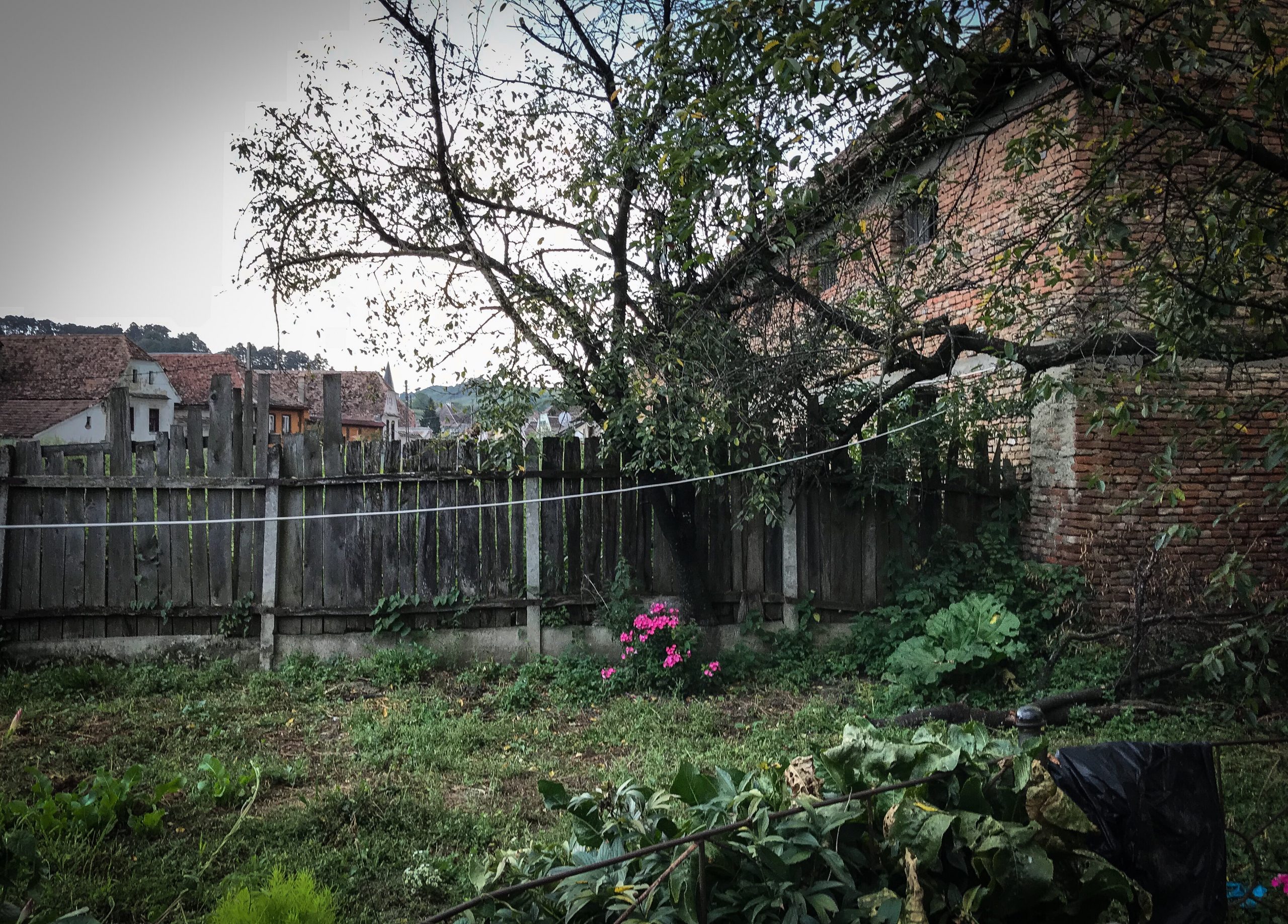 Garten, Nachbargebäude, Aussicht