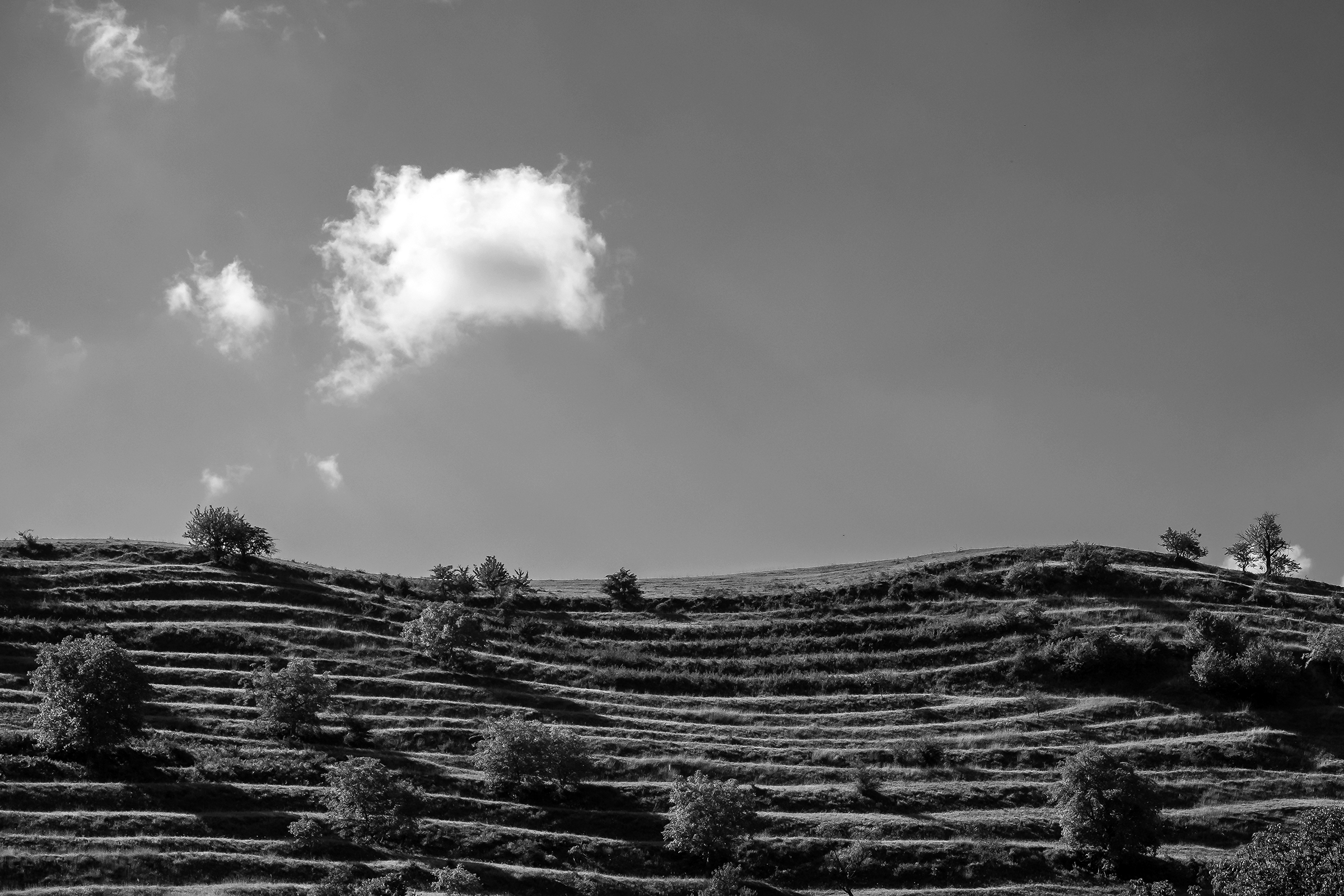 Weinland