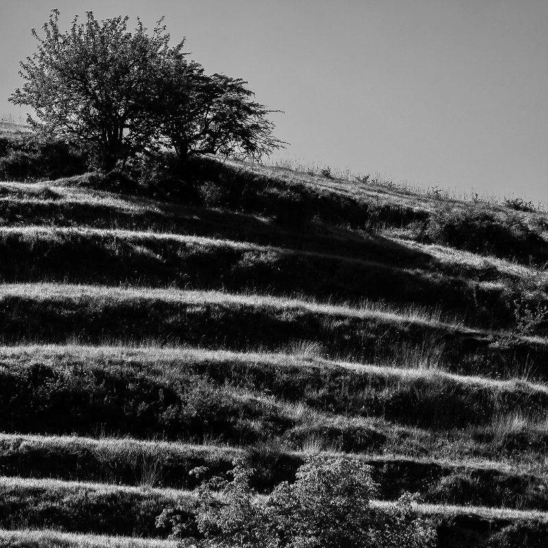 Richiș / Reichesdorf