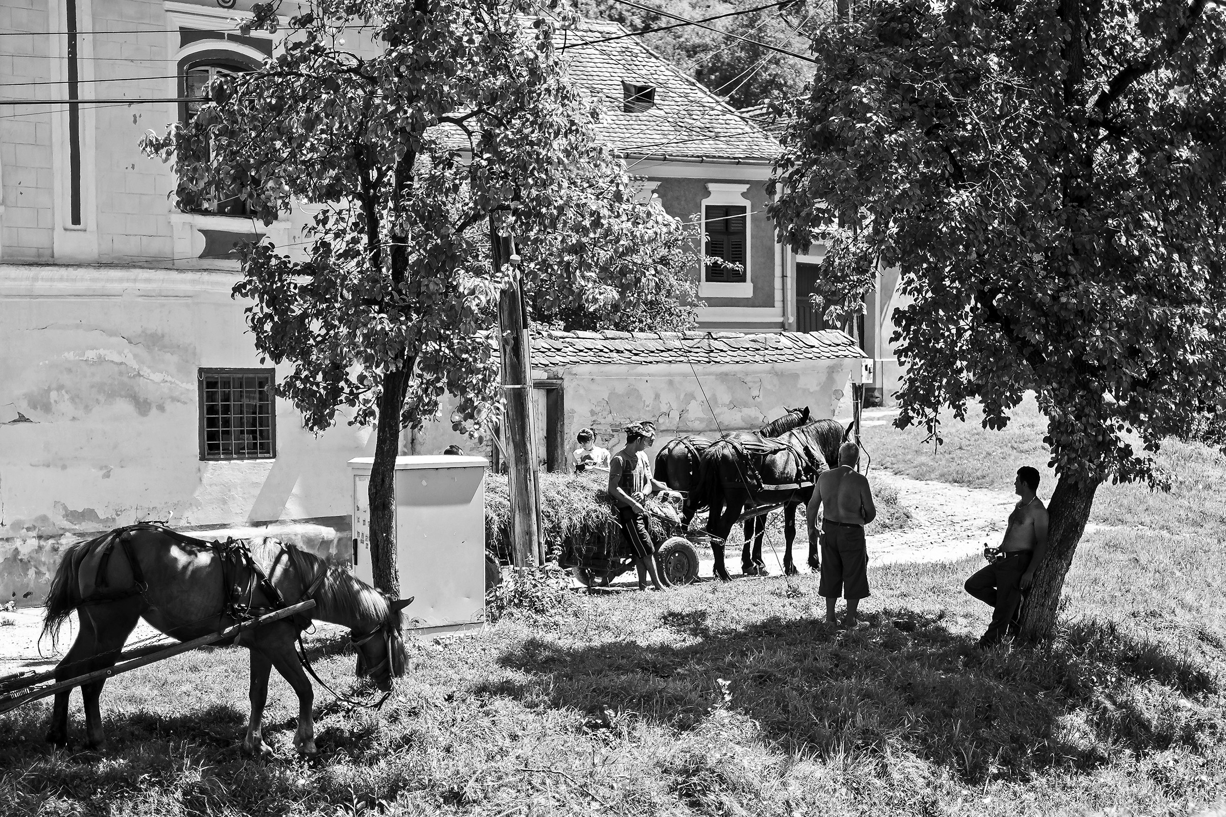 Richiș / Reichesdorf