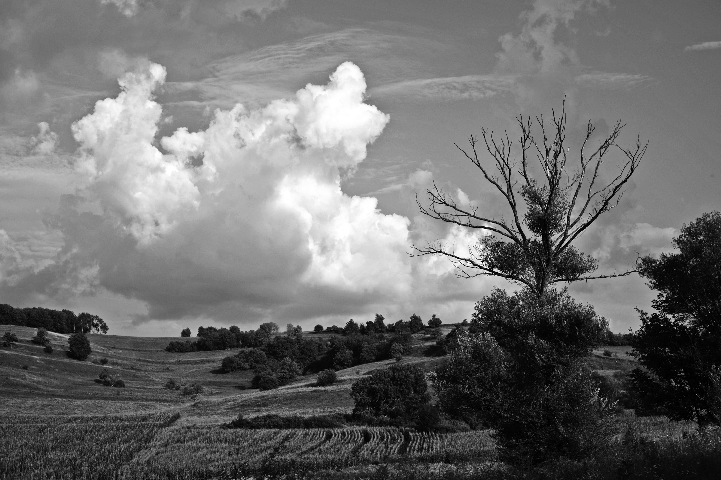 In den Hügeln zwischen Richiș / Reichesdorf und Ațel / Hetzeldorf