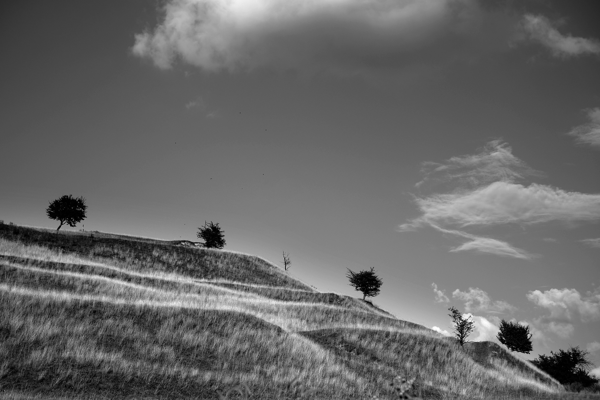 In den Hügeln zwischen Richiș / Reichesdorf und Ațel / Hetzeldorf