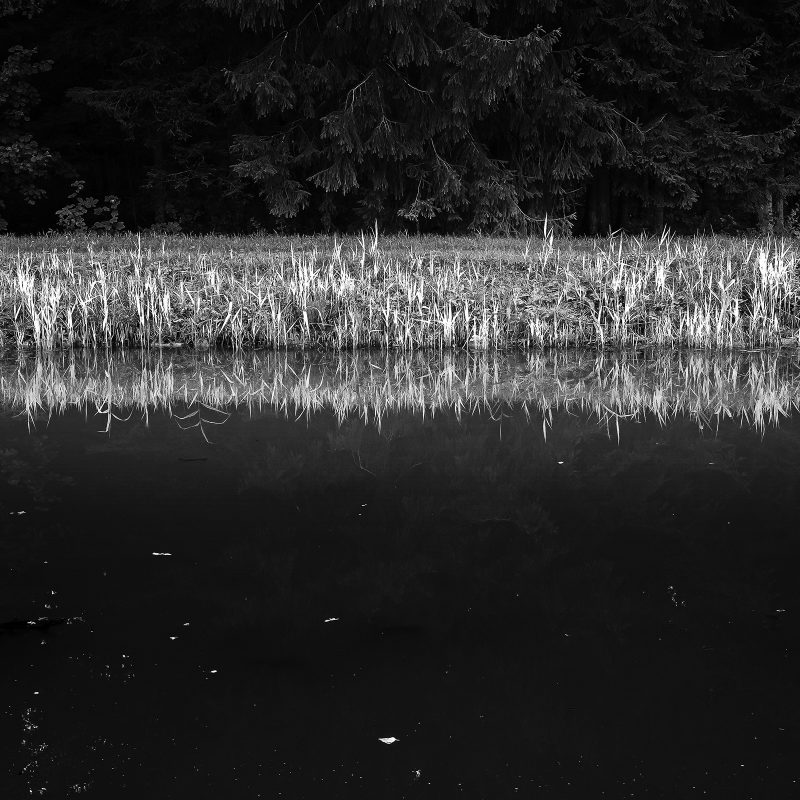 Ludwig-Donau-Main-Kanal