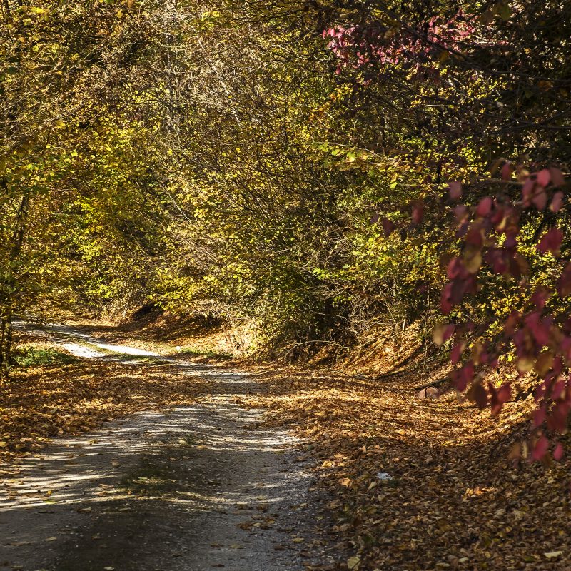 Wanderweg