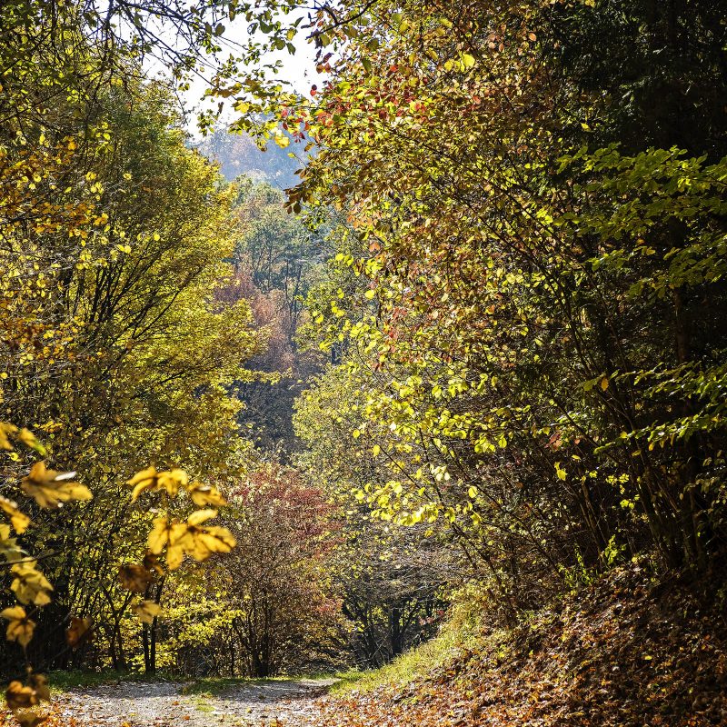 Brunnbachtal, Weihersmühle