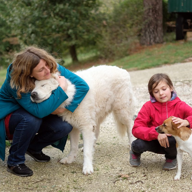Schoßhunde