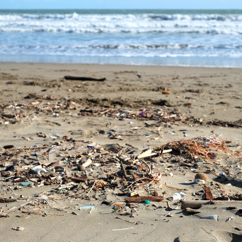überall Plastik