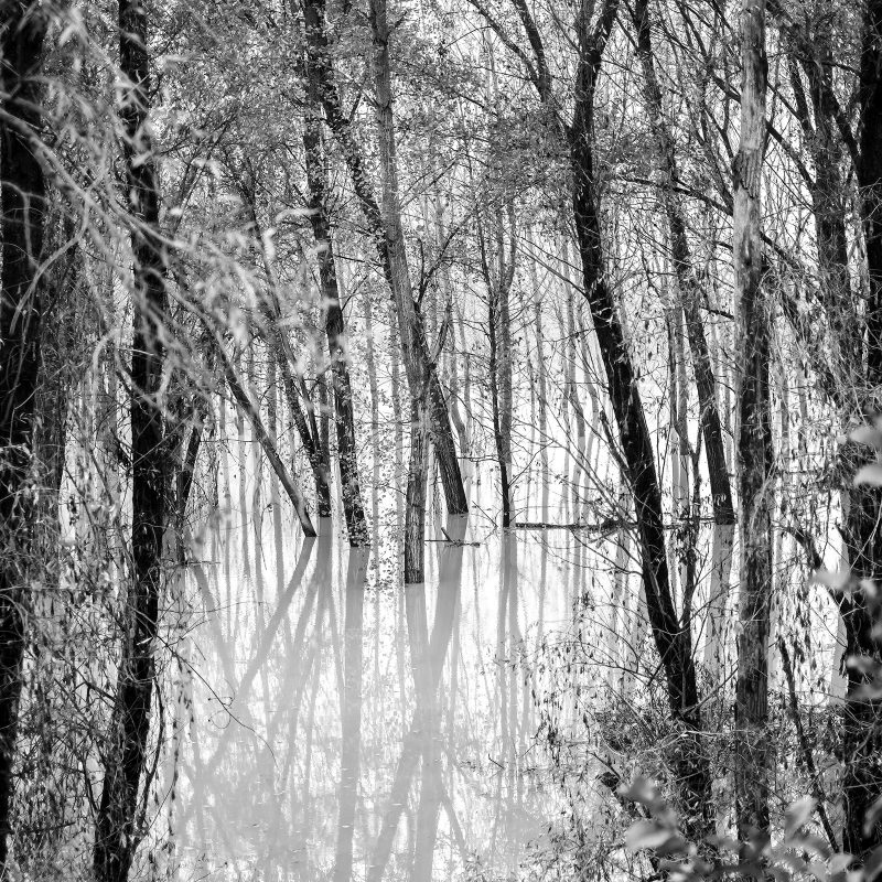 Po, Hochwasser III