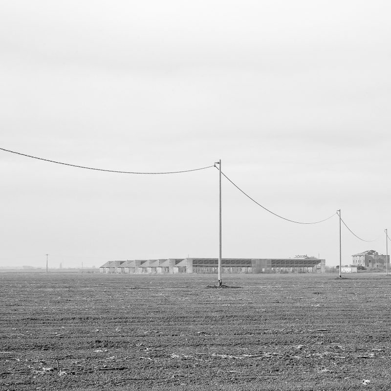 Feld I