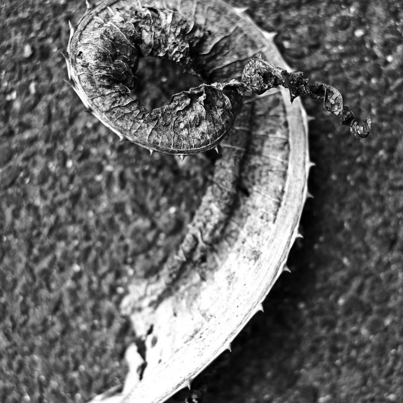 Landart