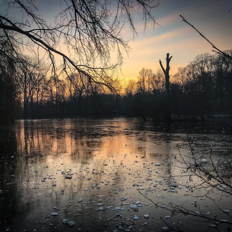 Stadtparkweiher