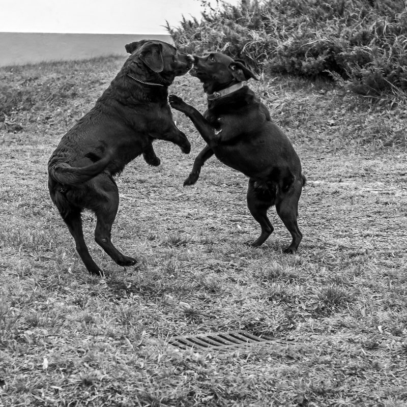 Frieda und Friedrich