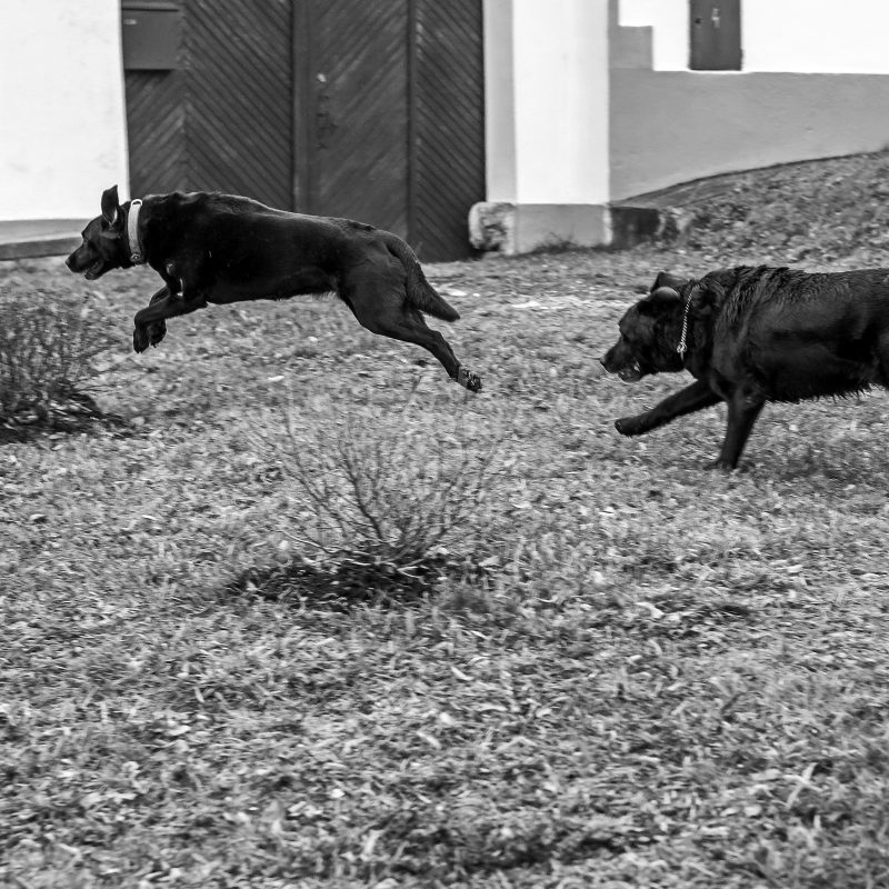 Frieda und Friedrich