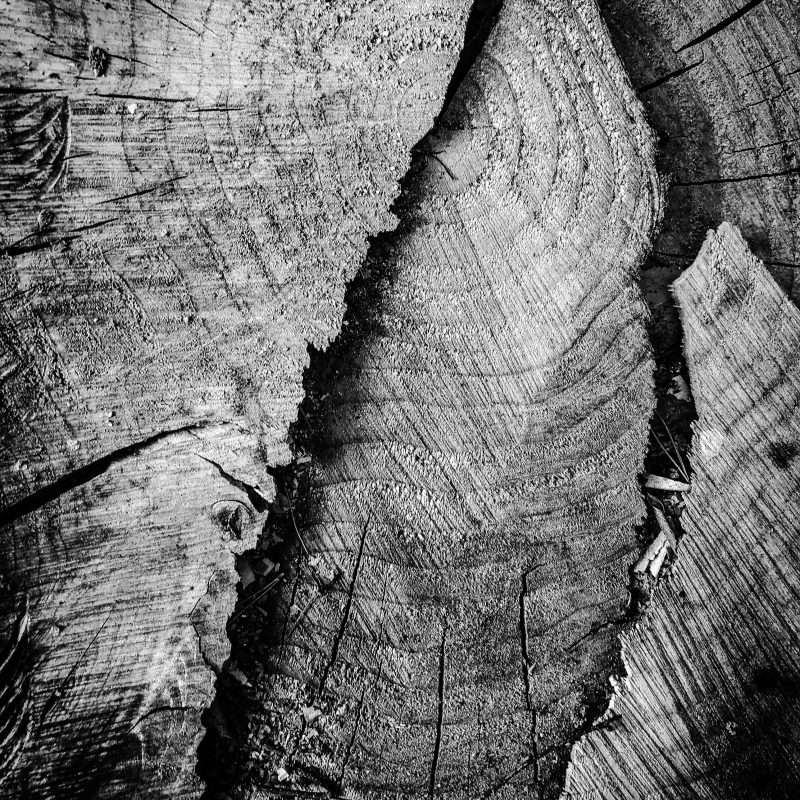 Holz (eigentlich schon von vor zwei Jahren)