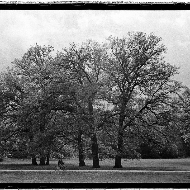 Park an der Ilm