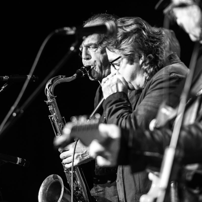 NC Brown Blues Band