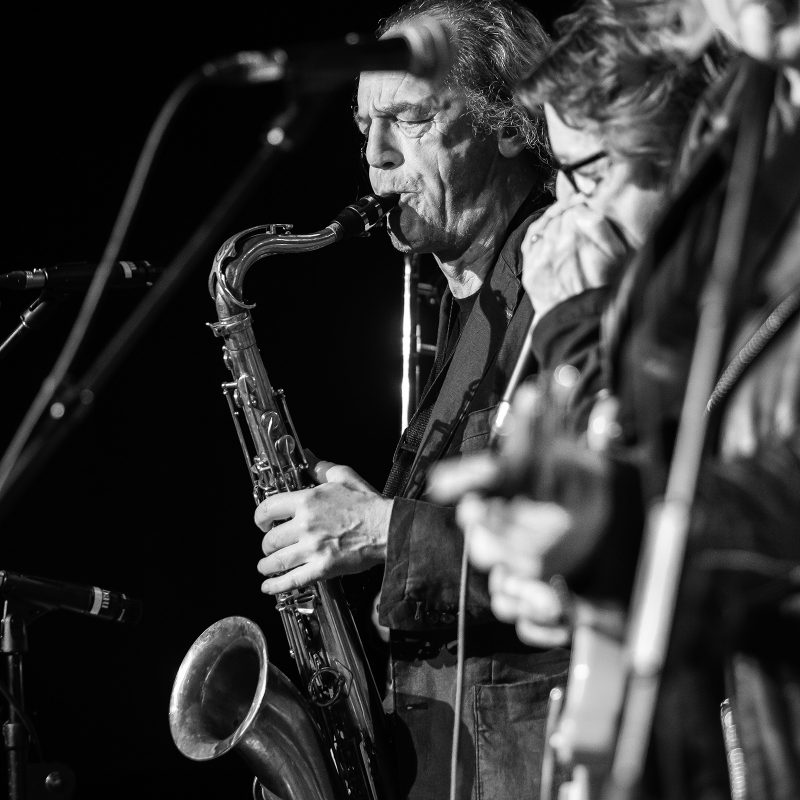 NC Brown Blues Band