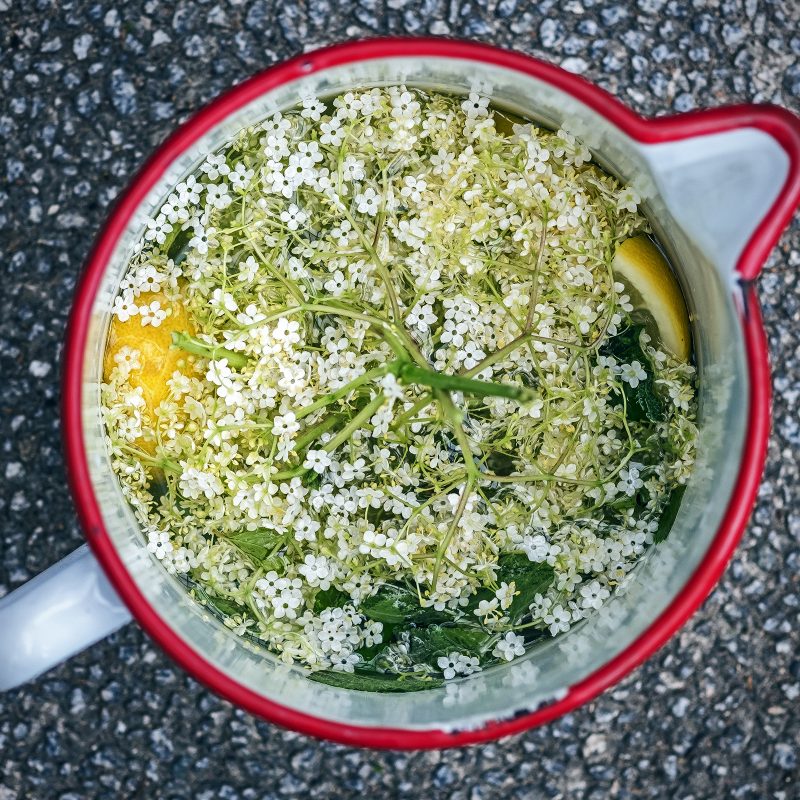Gartenlimonade