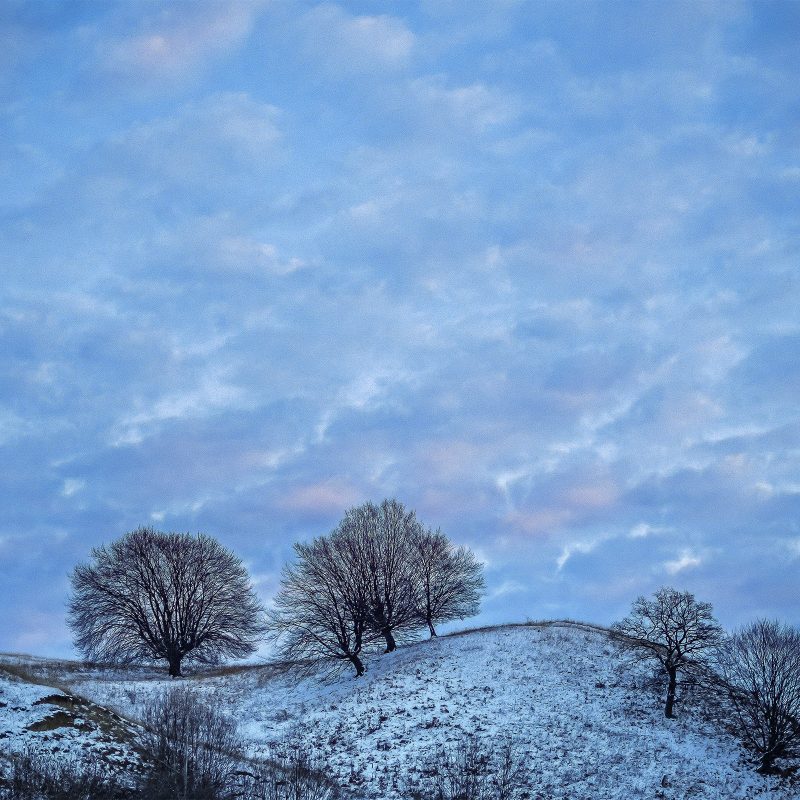 Winterlicht