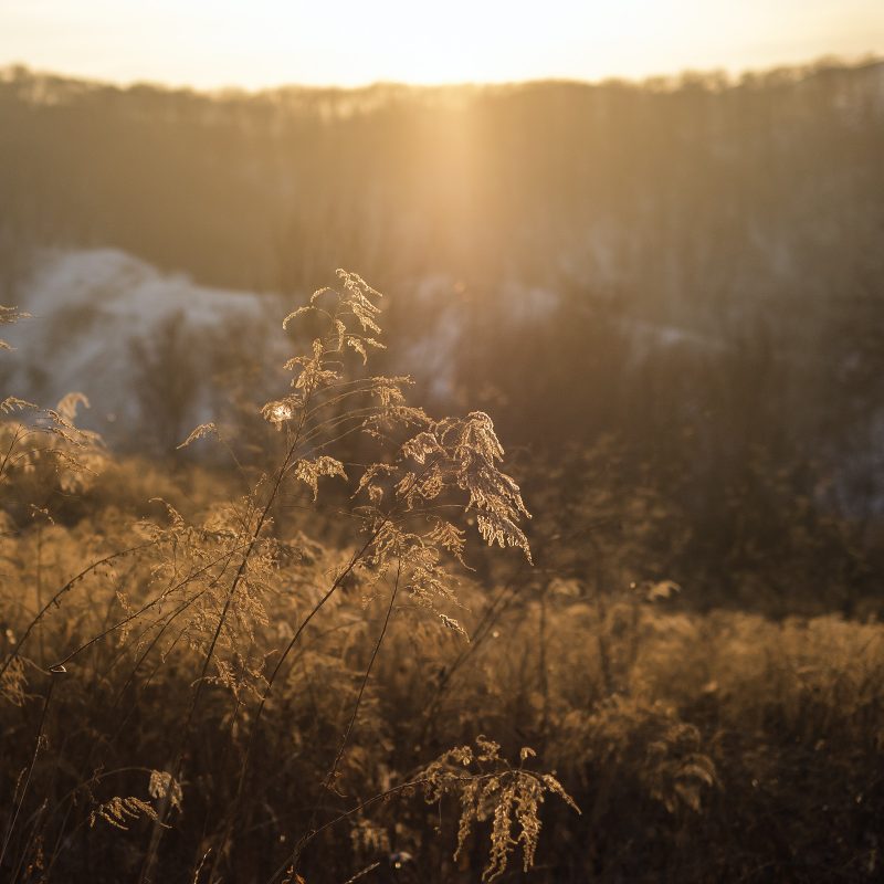 Wintersonne