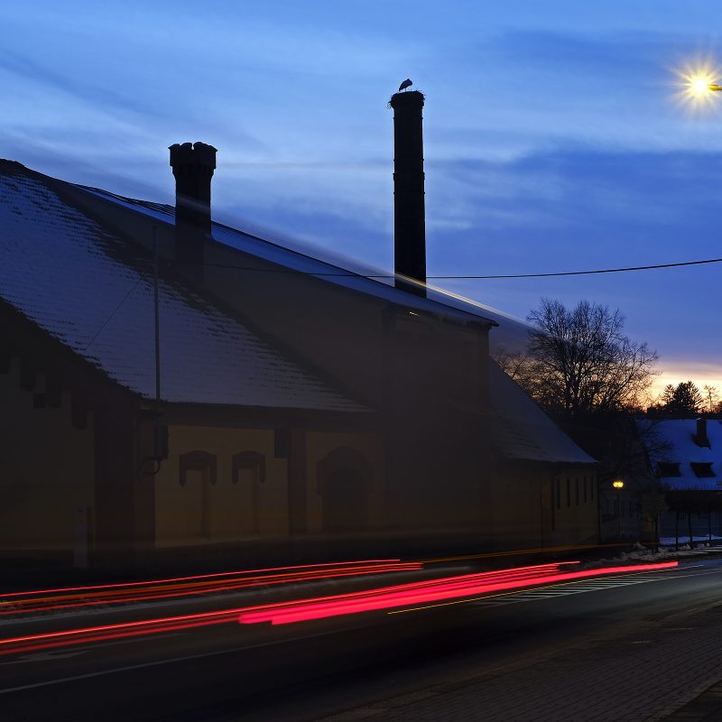 Horažďovice, Storch, Februar 2020