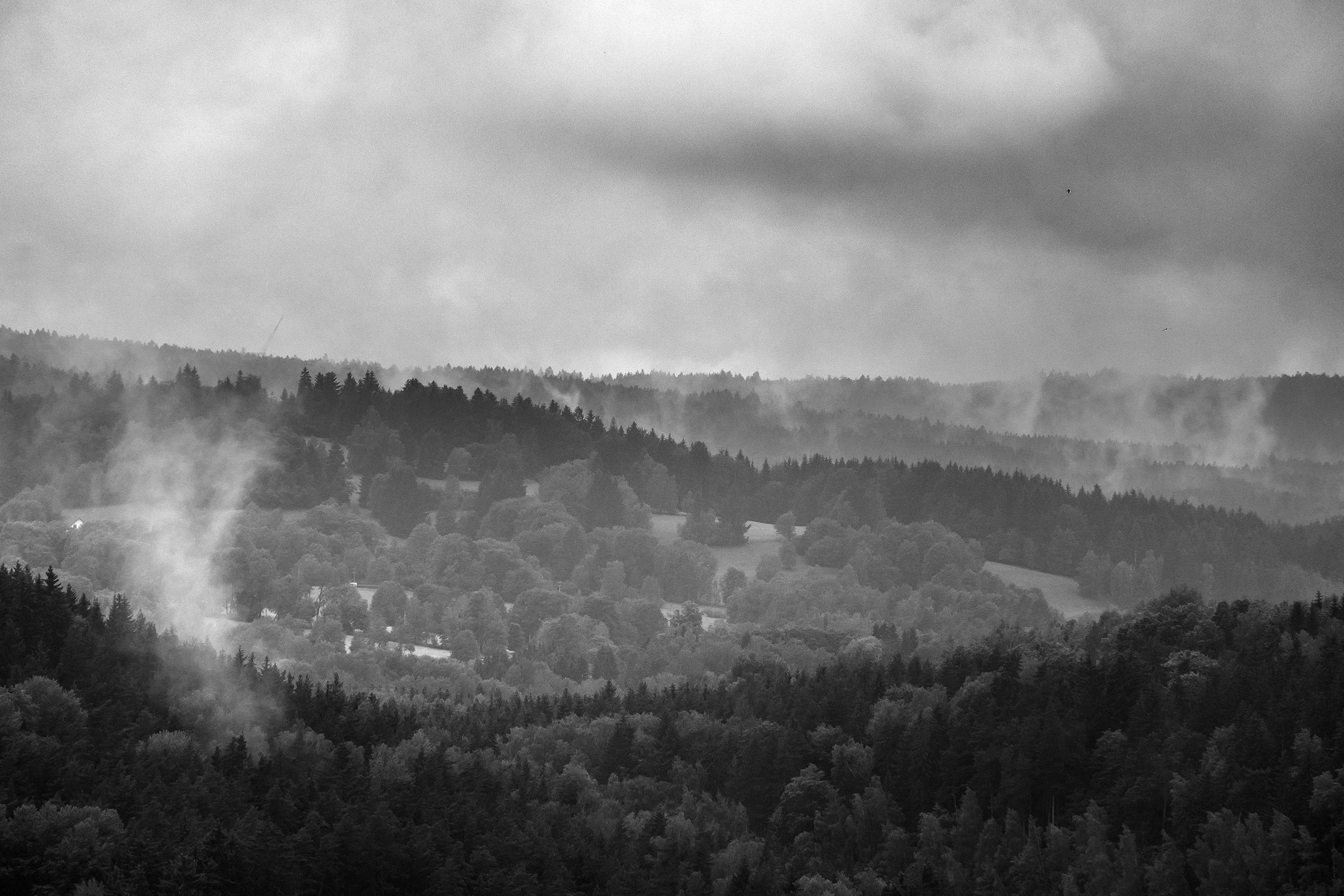 Böhmerwald