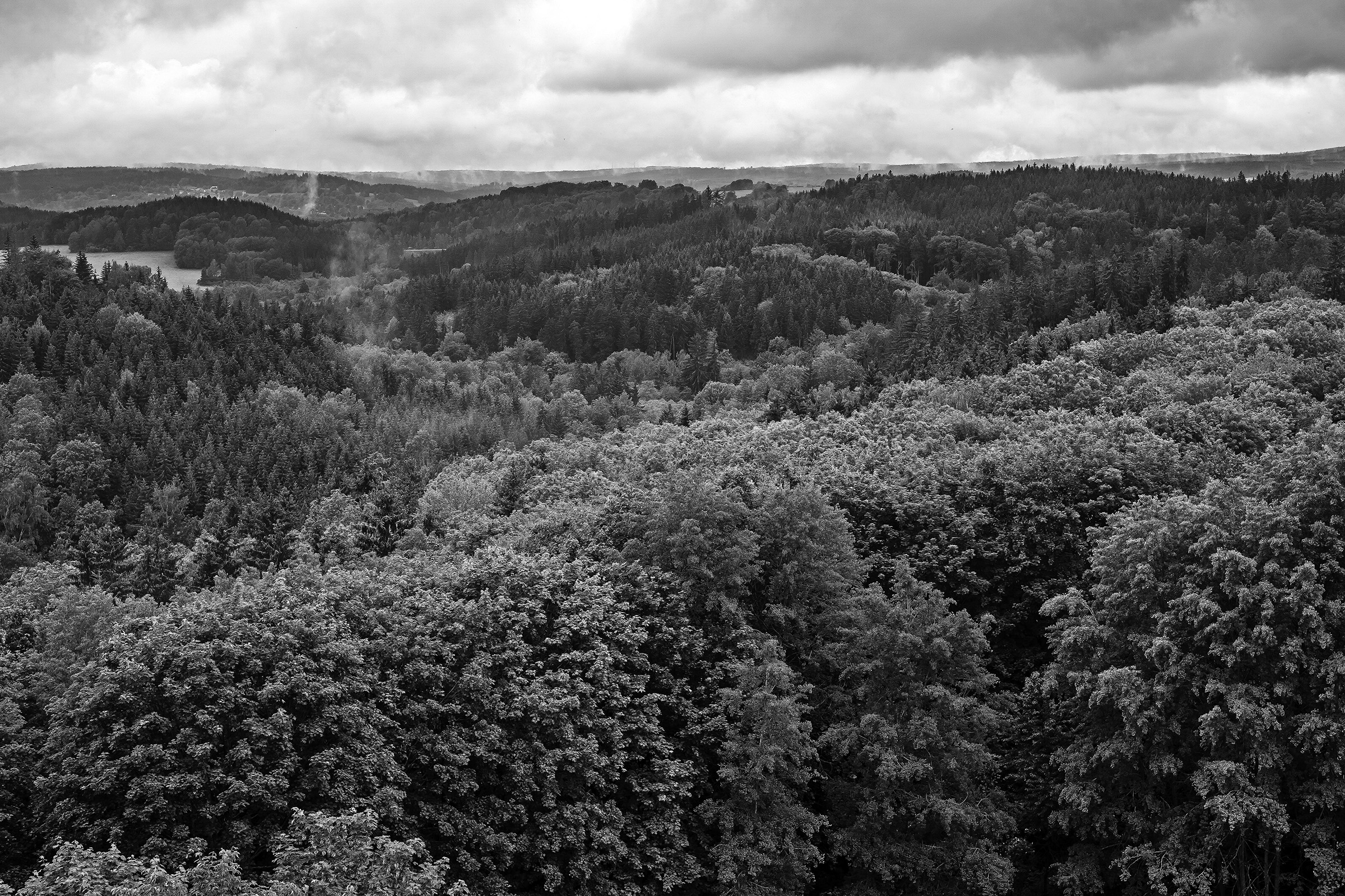 Böhmerwald