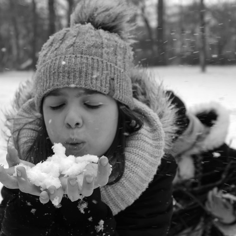 Schneeflocken